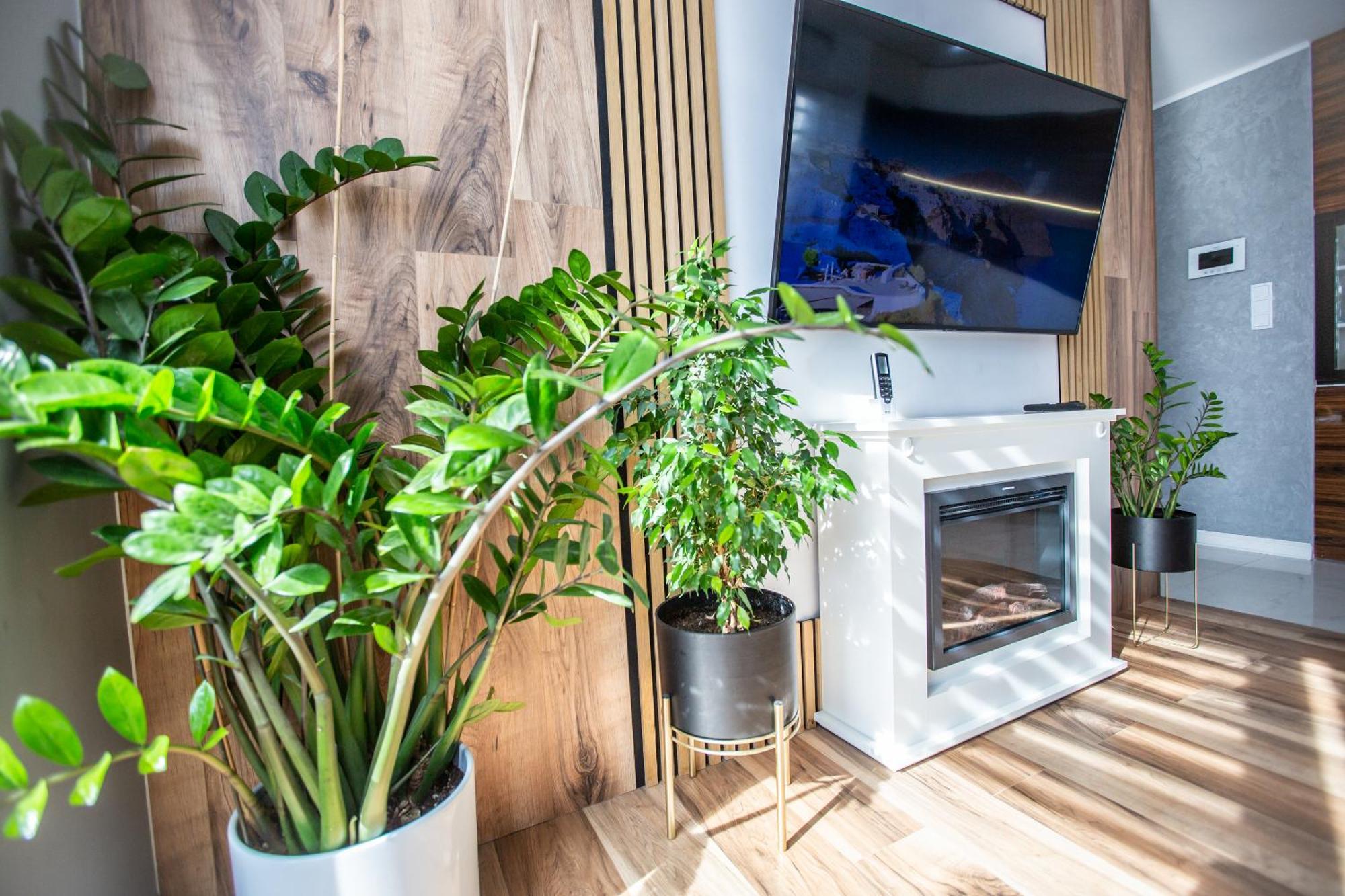 Apartamento Wlodarska 4a Premium Cracovia